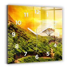 Sienas pulkstenis Tējas Kalns, 30x30 cm cena un informācija | Pulksteņi | 220.lv