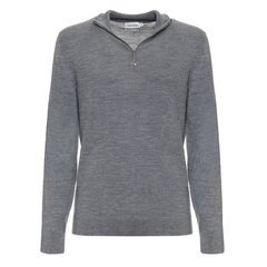 Calvin Klein džemperis vīriešiem 8719856932145, pelēks cena un informācija | Vīriešu džemperi | 220.lv