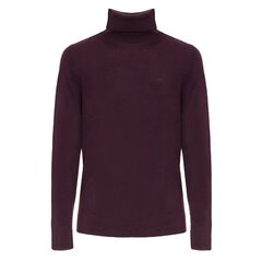 Calvin Klein džemperis vīriešiem 8719856932268, sarkans cena un informācija | Vīriešu džemperi | 220.lv