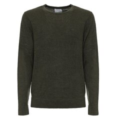Свитер мужской Calvin Klein 8719856932015, зеленый цена и информация | Мужские свитера | 220.lv
