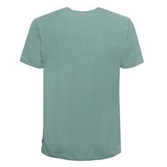 Guess T-krekls vīriešiem 7619342073561, zaļš cena un informācija | Vīriešu T-krekli | 220.lv