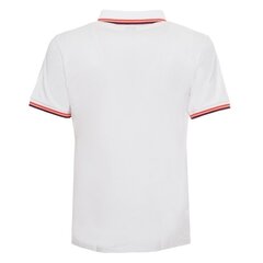 Мужская футболка Guess 7621826159838, белая цена и информация | Мужские футболки | 220.lv