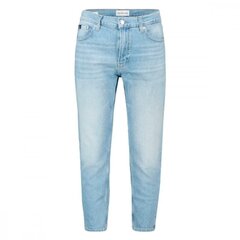 Мужские джинсы Calvin Klein Jeans 8719855246908, синие цена и информация | Мужские джинсы | 220.lv