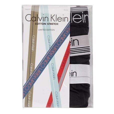 Calvin Klein apakšbikses vīriešiem 8719855976461, melnas, 3 gab. cena un informācija | Vīriešu apakšbikses | 220.lv