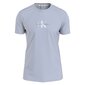 Calvin Klein Jeans T-krekls vīriešiem 8719856283162, zils cena un informācija | Vīriešu T-krekli | 220.lv