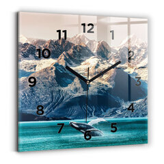 Sienas pulkstenis Vaļu Ūdens, 30x30 cm цена и информация | Часы | 220.lv