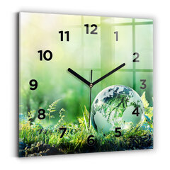 Sienas pulkstenis Zemeslode, 30x30 cm cena un informācija | Pulksteņi | 220.lv