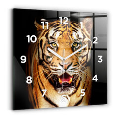 Sienas pulkstenis Tīģeris - Savvaļas Redze, 30x30 cm cena un informācija | Pulksteņi | 220.lv