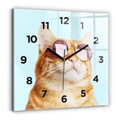 Sienas pulkstenis Smieklīgs Kaķis Ar Brillēm, 30x30 cm цена и информация | Часы | 220.lv