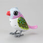 Interaktīvais putns Silverlit Digibirds cena un informācija | Rotaļlietas meitenēm | 220.lv