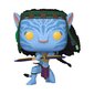 Vinila figūra Funko POP!: Avatar - Neytiri cena un informācija | Datorspēļu suvenīri | 220.lv