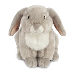 LIVING NATURE Плюшевая игрушка французский кролик, серый, 22 см цена и информация | Мягкие игрушки | 220.lv