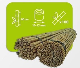 Bambusa nūjas, 60 cm x 10/12 mm, 100 gab. cena un informācija | Ziedu statīvi, puķu podu turētāji | 220.lv
