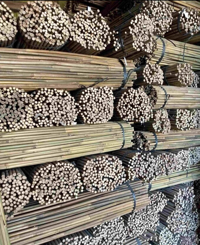 Bambusa nūjas, 45 cm x 8/10 mm, 25 gab. cena un informācija | Ziedu statīvi, puķu podu turētāji | 220.lv