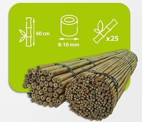 Bambusa nūjas, 60 cm x 8/10 mm, 25 gab. cena un informācija | Ziedu statīvi, puķu podu turētāji | 220.lv