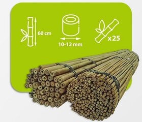 Bambusa nūjas, 60 cm x 10/12 mm, 25 gab. cena un informācija | Ziedu statīvi, puķu podu turētāji | 220.lv