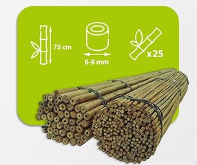 Бамбуковые шесты 75 см 6/8 мм / 25 шт. цена и информация | Подставки для цветов, держатели для вазонов | 220.lv
