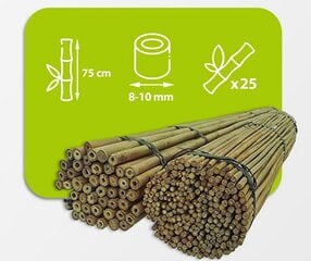 Бамбуковые палки 75 см 8/10 мм / 25 шт. цена и информация | Подставки для цветов, держатели для вазонов | 220.lv