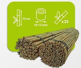 Bambusa nūjas, 75 cm x 10/12 mm, 25 gab. cena un informācija | Ziedu statīvi, puķu podu turētāji | 220.lv