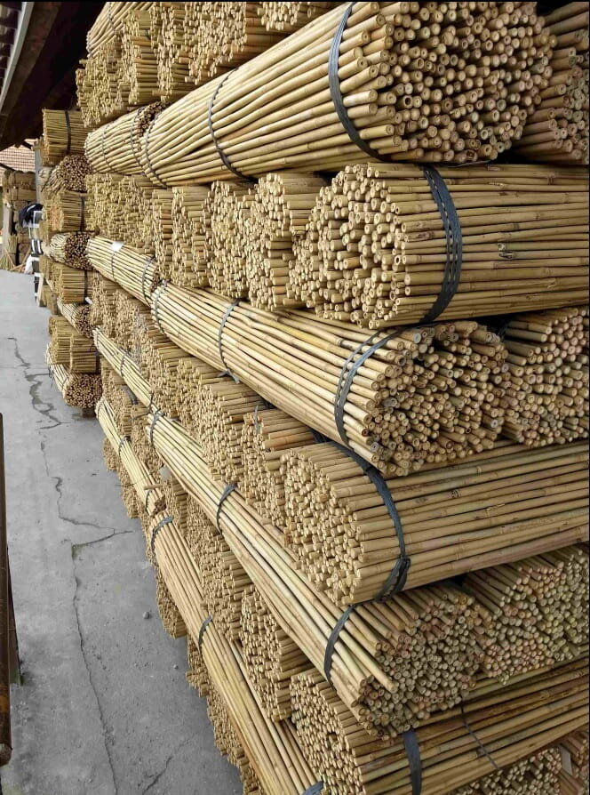 Bambusa nūjas, 120 cm x 12/14 mm, 25 gab. cena un informācija | Ziedu statīvi, puķu podu turētāji | 220.lv
