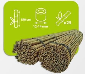 Bambusa nūjas, 150 cm x 12/14 mm, 25 gab. cena un informācija | Ziedu statīvi, puķu podu turētāji | 220.lv