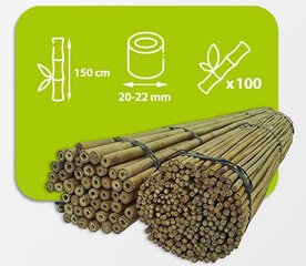 Bambusa nūjas, 150 cm x 20/22 mm, 100 gab. cena un informācija | Ziedu statīvi, puķu podu turētāji | 220.lv
