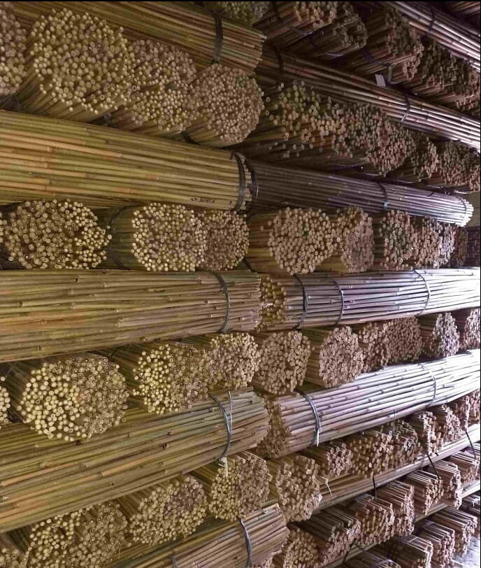 Bambusa nūjas, 180 cm x 10/12 mm, 25 gab. цена и информация | Ziedu statīvi, puķu podu turētāji | 220.lv