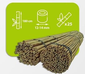 Bambusa nūjas, 180 cm x 12/14 mm, 25 gab. cena un informācija | Ziedu statīvi, puķu podu turētāji | 220.lv