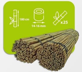 Bambusa nūjas, 180 cm x 14/16 mm, 25 gab. cena un informācija | Ziedu statīvi, puķu podu turētāji | 220.lv
