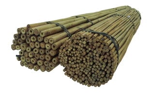Палки бамбуковые 150 см 24/26 мм / 50 шт. / DEKOR цена и информация | Подставки для цветов, держатели для вазонов | 220.lv