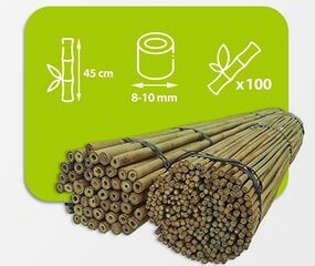 Бамбуковые палки 45 см, 8/10 мм / 100 шт. цена и информация | Подставки для цветов, держатели для вазонов | 220.lv