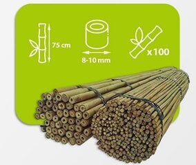 Бамбуковые палки 75 см, 8/10 мм / 100 шт. цена и информация | Подставки для цветов, держатели для вазонов | 220.lv