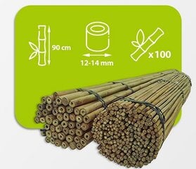 Bambusa nūjas, 90 cm x 12/14 mm, 100 gab. cena un informācija | Ziedu statīvi, puķu podu turētāji | 220.lv