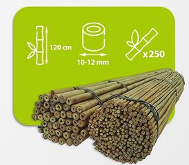 Бамбуковые палки 120 см, 10/12 мм / 250 шт. цена и информация | Подставки для цветов, держатели для вазонов | 220.lv