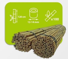 Bambusa nūjas, 120 cm x 12/14 mm, 100 gab. cena un informācija | Ziedu statīvi, puķu podu turētāji | 220.lv