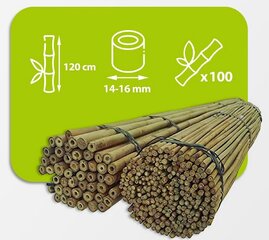 Бамбуковые шесты 120 см, 14/16 мм / 100 шт. цена и информация | Подставки для цветов, держатели для вазонов | 220.lv