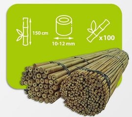 Bambusa nūjas, 150 cm x 10/12 mm, 100 gab. cena un informācija | Ziedu statīvi, puķu podu turētāji | 220.lv