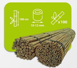 Бамбуковые шесты 180 см 10/12 мм / 100 шт. цена и информация | Подставки для цветов, держатели для вазонов | 220.lv