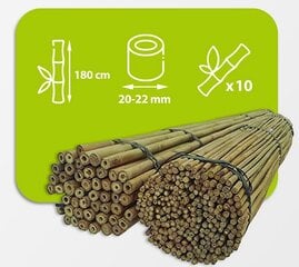 Bambusa nūjas, 180 cm x 20/22 mm, 10 gab. cena un informācija | Ziedu statīvi, puķu podu turētāji | 220.lv