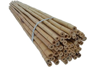Bambusa nūjas, 180 cm x 30/35 mm, 50 gab. cena un informācija | Ziedu statīvi, puķu podu turētāji | 220.lv
