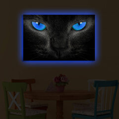 Репродукция Черная кошка цена и информация | Картины | 220.lv