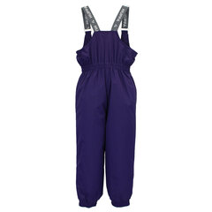 Детские утепленные штаны Huppa весна-осень FUNNY 40г, фиолетовый цвет цена и информация | Штаны для мальчиков | 220.lv
