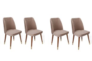 Комплект из 4 стульев Asir, бежевый/коричневый/золотой цена и информация | Стулья для кухни и столовой | 220.lv