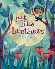 Just Like Brothers 2018 цена и информация | Книги для детей | 220.lv