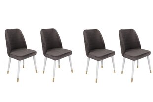 Комплект из 4 стульев Asir, серый/белый/золотой цена и информация | Стулья для кухни и столовой | 220.lv