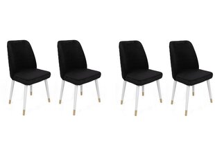4-daļīgs krēslu komplekts Asir, melns/balts/zelts цена и информация | Стулья для кухни и столовой | 220.lv