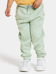 Детские спортивные штаны Didriksons CORIN, мятно-зеленый цвет цена и информация | Штаны для девочек | 220.lv