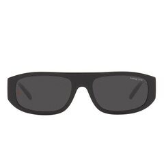 Sieviešu Saulesbrilles Arnette GULLWING AN 4292 цена и информация | Женские солнцезащитные очки | 220.lv