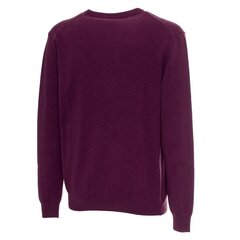 Sergio Tacchini džemperis vīriešiem 2091435422343, violets cena un informācija | Vīriešu džemperi | 220.lv