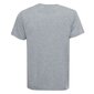 Ben Sherman T-krekls vīriešiem 8719015140688, pelēks cena un informācija | Vīriešu T-krekli | 220.lv